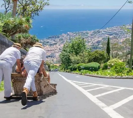 Lejlighed Living-funchal